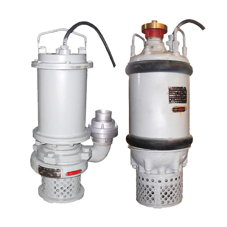 Pompa del motore immerso marino CQX